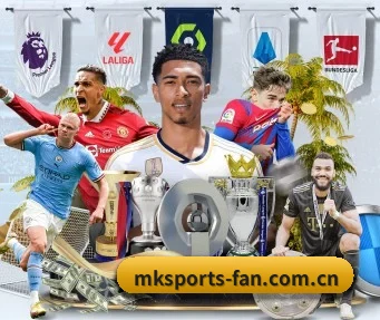 MK体育 APP | MKSPORTS